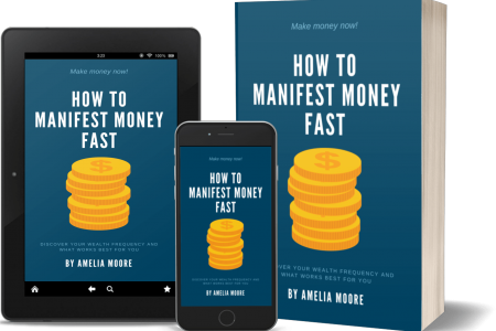 how to manifest money fast cover